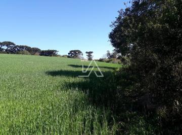 g12_2685_34671_1647_220623.jpg · ÁREA RURAL SÃO MIGUEL,COM AÇUDE, ÁREA PARA CULTIVO