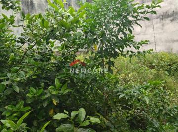 Terreno · 75m² · Lote em  Avenida Benedito Antônio Muniz,   lote 28 quadra 7  - Balneário Aclimação - Itanhaém/SP