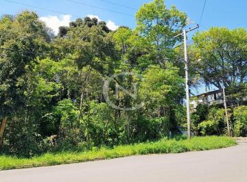g1_605_1114_1647_140223.jpg · Terreno com 1182 m² no bairro Santa Terezinha em Canela/RS