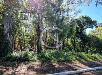 g1_1264_7446_1715_140223.jpg · Terreno na Vila Suiça em Gramado/RS com 919,42m²