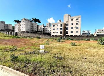 g1_397_12368_1649_010623.jpeg · EXCELENTES TERRENOS RESIDENCIAIS - BAIRRO CERÂMICA