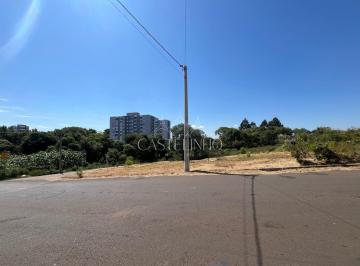 g1_459_22108_1344_240325.jpeg · TERRENO RESIDENCIAL/COMERCIAL - BELA VISTA