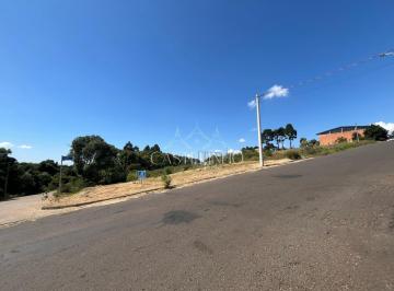 g1_458_22100_1341_240325.jpeg · AMPLO TERRENO RESIDENCIAL/COMERCIAL - BELA VISTA