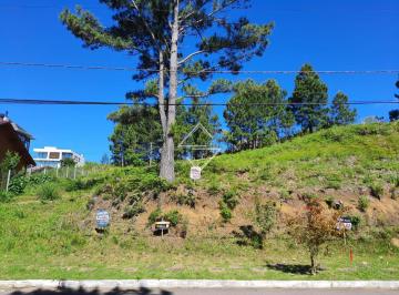 g1_515_9239_1500_251022.jpg · TERRENO EM GRAMADO