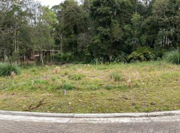 g1_676_11710_2006_010923.JPEG · LINDO TERRENO PARA CONSTRUIR SEU LAR