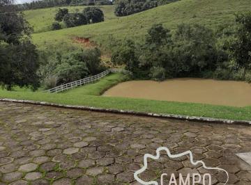 Foto 11 · FAZENDA COM PASTO FORMADO 246 HECTARES EM CRUZILIA-MG !