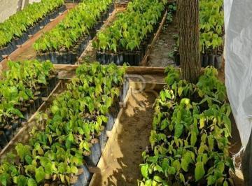 Rural · Fazenda localizada em Una estrada Una-Arataca