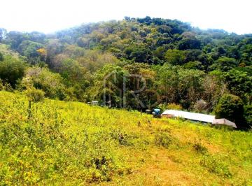 Rural · Sítio com 13 hectares