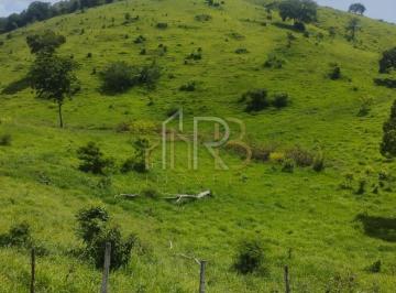 Rural · Fazenda possuindo 980 Hectares