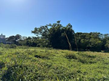Terreno · 463m² · Terreno de 463.13m² no bairro Ribeirao Da Ilha