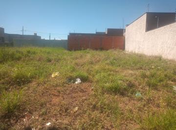 Foto 01 · Terreno, Higienópolis, Catanduva, SP