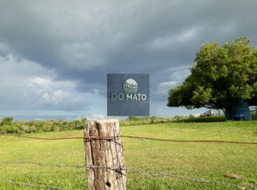 Rural · 1440000m² · 2 Quartos · FAZENDA 180 HECTARES  PECUARIA EM SAO GABRIEL ...