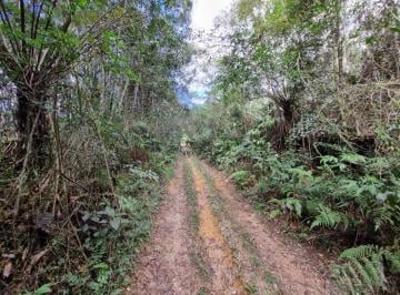 Foto 01 · ALMIRANTE TAMANDARÉ - TERRENO