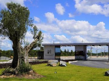Terreno · 4033m² · Navepark