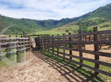 202510310825435569.jpeg · Fazenda para Venda em São Pedro, Zona rural de São Pedro, 6 dormitórios, 5 suítes, 7 banheiros, 3 va