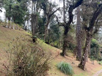 Terreno , Campos do Jordão · Campos do Jordão terreno loteamento Águas Claras