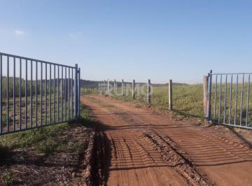 0 · fazenda à venda em Santa Terezinha