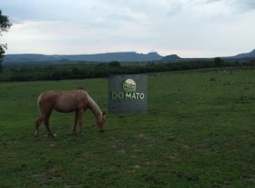 Rural · 776000m² · 2 Quartos · 4 Vagas · FAZENDA 97 HECTARES  BOA DE AGUA  PECUARIA EM ...