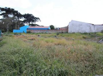19678376_4.jpg · Terreno com 1.965m² , à venda, no bairro Quississana em São José dos Pinhais