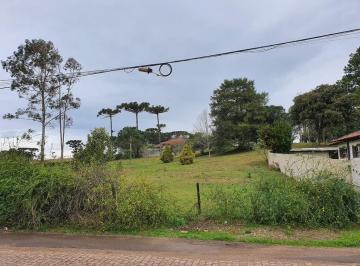 19618674_4.jpg · Terreno com 2.000m² , para aluguel, no bairro Colônia Murici em São José dos Pinhais