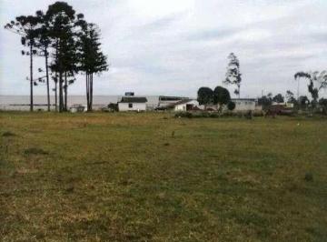 12753915_4.jpg · Terreno com 36.453,05m² , à venda, no bairro Costeira em São José dos Pinhais