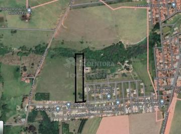 Comercial · 22000m² · Cedral - SP- Área à Venda - Divisa com Residencial Di Napoli
