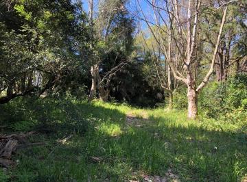 17928_ieZq48npy_179285d8a241c5fa68.jpg · Imoveis - em Pedra Redonda