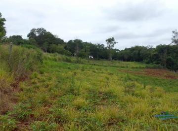 31218e6892f425bd33a16ffd36fc687a8528ee86 · Terreno à venda, 2000 m² por R$ 300.000,00 - Cafezal - Londrina/PR