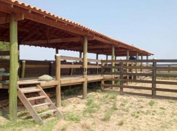 d0f0a5488913d707a2a501e93a6ed7b13515440b · Fazenda à venda, 1718200 m² por R$ 16.000.000,00 - Zona Rural - Porangaba/SP
