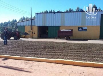 ff8b8261a40db9922768a1f372e3f1542b6dad80 · Fazenda à venda, 8000000 m² por R$ 32.000.000 - Vila Pinto - Varginha/MG