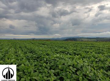 Foto 01 · Fazenda, Centro, Altinópolis, SP