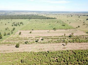 Rural de 6 quartos, Ribas do Rio Pardo · FAZENDÃO PARA PECUÁRIA