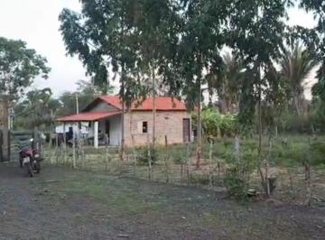 Rural · 21ha · Sitio em José de Freitas