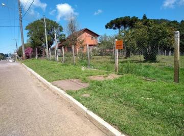 445571_iP4NSSx7po376_445571652060fbe4475.jpg · Terreno no centro de São Francisco de Paula