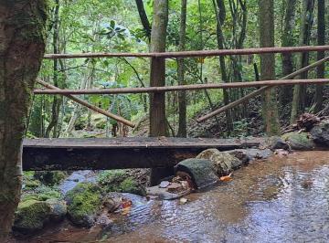 Sítio a venda Sana Macaé · Sítio a venda, Sana, Macaé, 11 Alqueires, R$ 1.500.000,00 - (22) 97401.4034