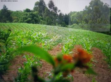 20230827214409448.jpg · Sítio / Chácara para Venda em Campo Largo, Colônia Balbino Cunha