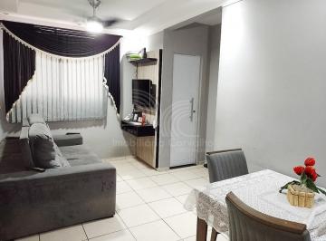 Foto 01 · Apartamento, Jardim Progresso, Americana, SP