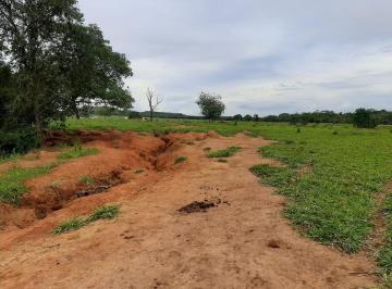 Rural de 3 quartos, Goiás · FAZENDA EM ÁGUA FRIA DE GOIÁS 410 HECTARES TERRENO PLANO T.VERMELHA 98150-8787