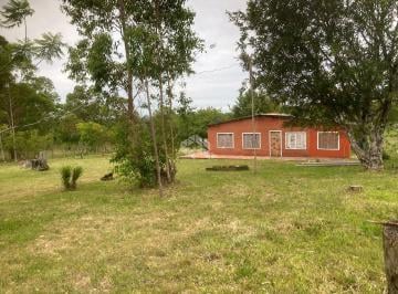 262295_iFK1r5Yi71h3mv4058li_26229563bb6aa9a03a3.jpg · Sitio a venda com poço artesiano, com árvores frutíferas, com casa com 3 quartos, 2 banheiro,