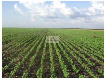 fc7bf1f2b735fa994d0c705f3476c656.JPG · Fazenda 2500 hectares, dupla aptidão, terra bruta