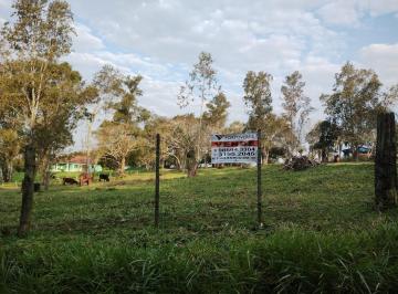 Foto 01 · Sitio, Tarumã, Viamão, RS