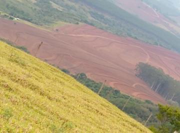 Rural , Santa Maria da Serra · FAZENDA STA MARIA DA SERRA