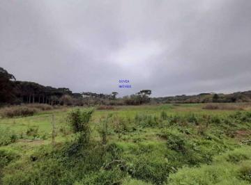 Foto 16 · AREA DE 116.957M², A 26,00 POR M², RESIDENCIAL, BAIRRO CAMPINA DA BARRA, ARAUCARIA ESTUDA PROPOSTA. 
