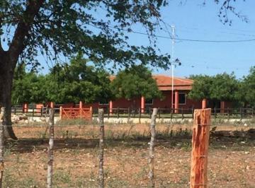 Rural de 3 quartos, Custódia · Fazenda à venda em Custódia - PE, 1.290 Hectares, casa sede, cenário único
