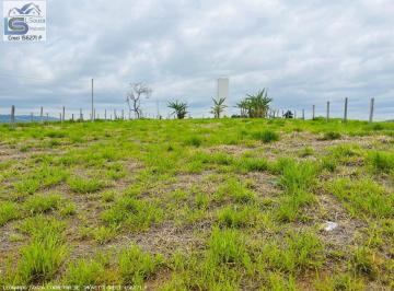 20231023112648429.jpg · Terreno para Venda em Pinhalzinho, Zona Rural