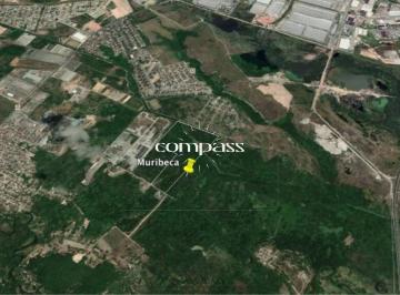 Foto 01 · Terreno com 72.000m² para venda na Muribeca em Jaboatão dos Guararapes - PE