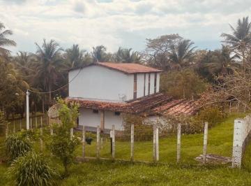 Foto 01 · Ótimo sítio para venda, com 35 tarefas, sede com quatro quartos, sendo duas suítes, galpão, baias, B