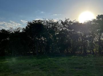 1e6c8f4df540fdc86dc19b7271b2decffc63173d · Terreno à venda, 324 m² por R$ 380.000,00 - Condomínio Lagos D'Icaraí - Salto/SP