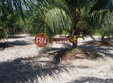 202508260718047862.jpg · Granja para Venda em Ceará-Mirim, Santa Águeda, 3 dormitórios, 1 banheiro, 3 vagas
