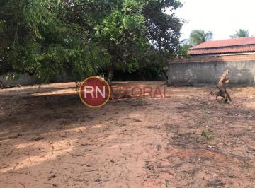 202508260726028258.jpeg · Granja para Venda em Ceará-Mirim, Caiana